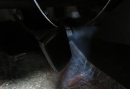 Thumbnail of 2019 Toyota Tacoma