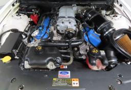 Thumbnail of 2011 Ford Shelby GT500